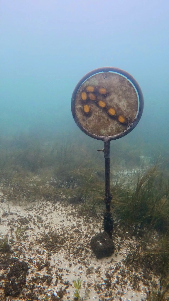 An underwater arrow signpost indicating the dive site trail