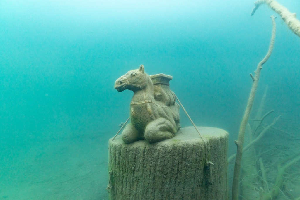 Submerged camel statue in Lake Zurich