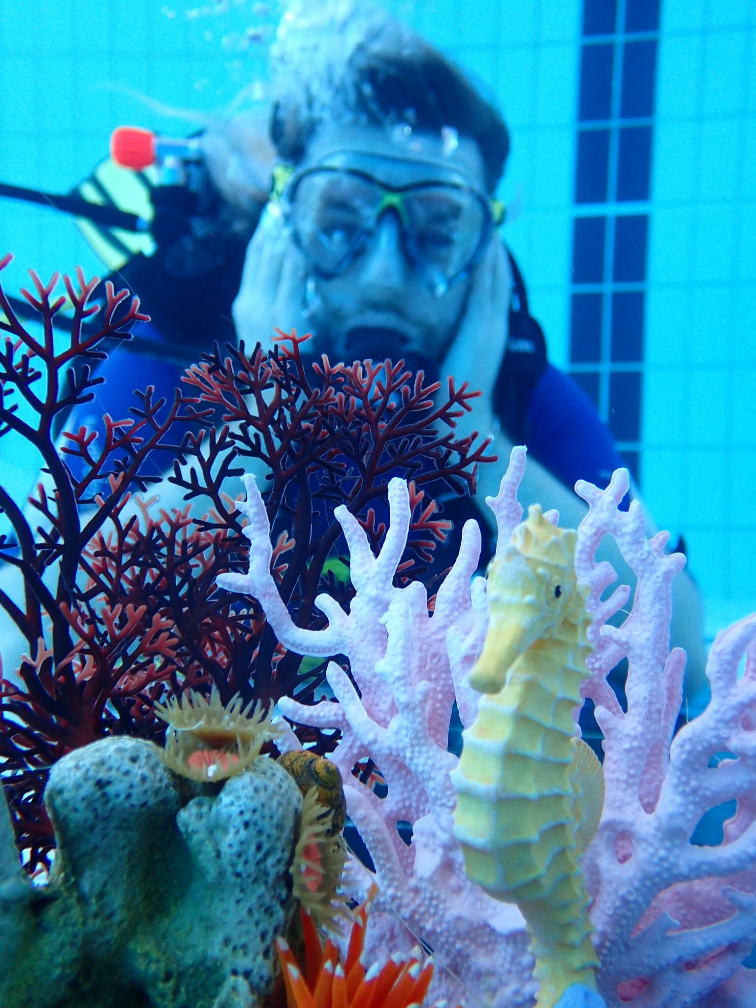 martin-behind-corals