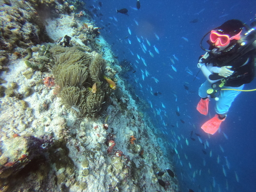 Kasia checking out some clownfish