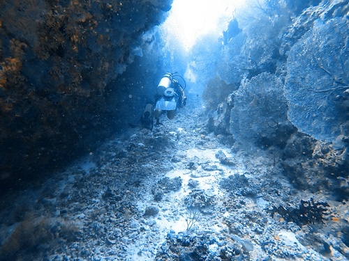 Swimming through broken rock canyon